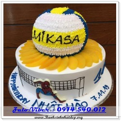 Mẫu Bánh Sinh Nhật Đẹp - A906